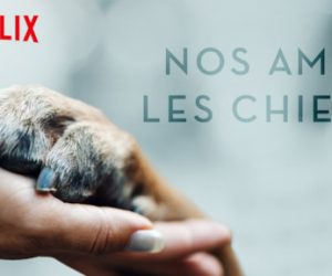 Série documentaire nos amis les chiens sur Netflix Dogs